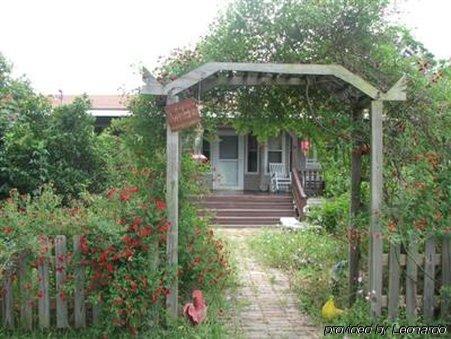 Allen Acres Bed And Breakfast DeRidder Buitenkant foto